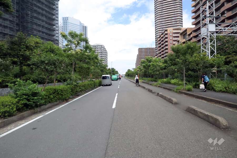 敷地東側の前面道路(北側から)