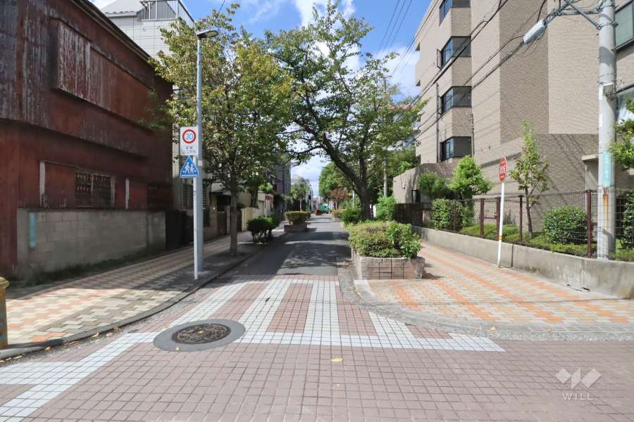 敷地南西側の前面道路