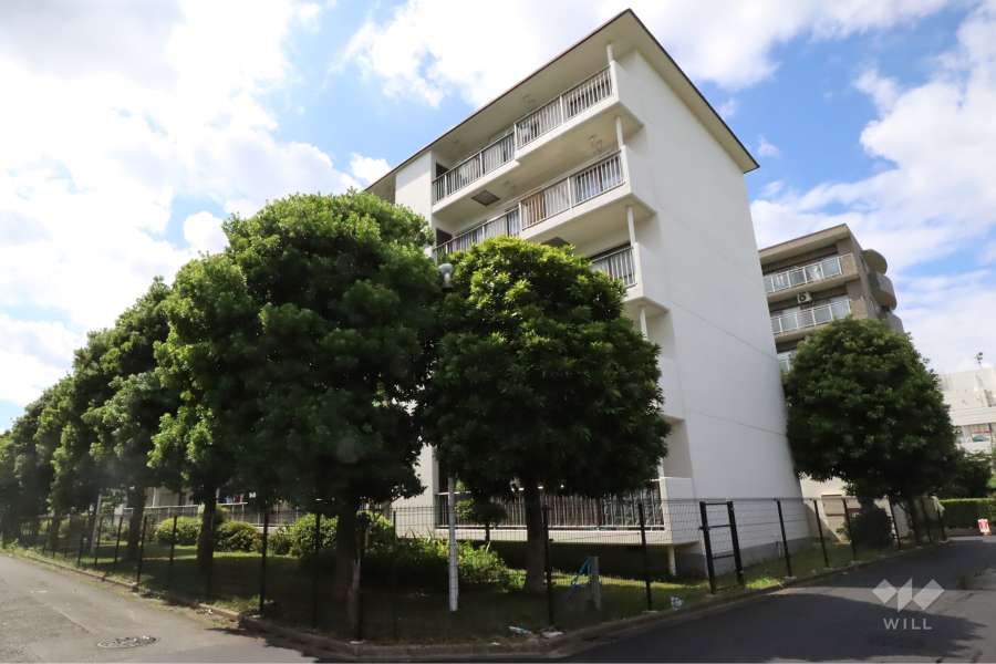 多摩川グリーンハイツの外観(北東側から)