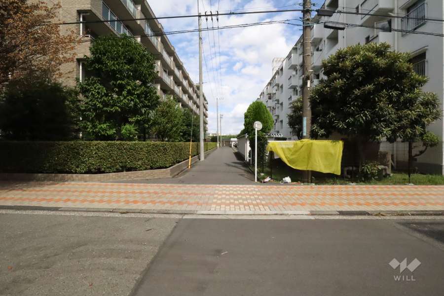 敷地西側の前面道路