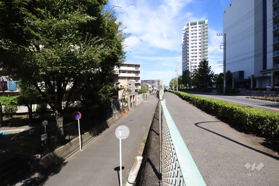 敷地東側の前面道路（南側から)