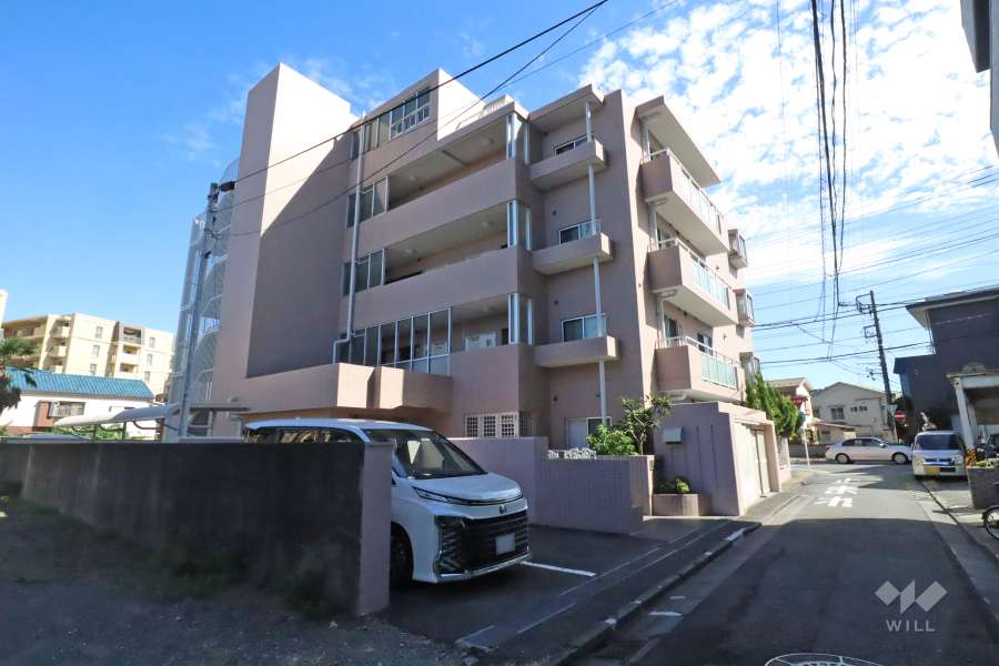 ハイツ川崎紺屋町の外観(北西側から)