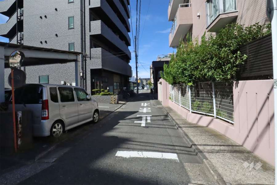 敷地西側の前面道路(南側から)