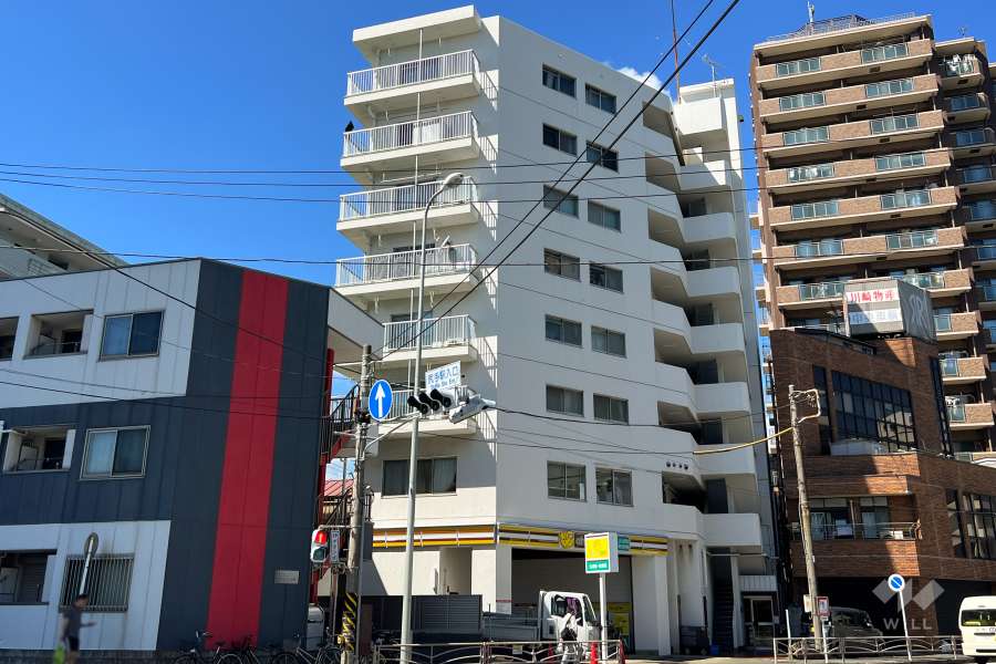 ハイラーク川崎の外観（南東側から）