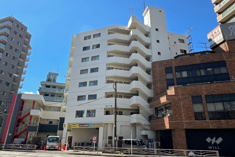 ハイラーク川崎の外観（東側から）