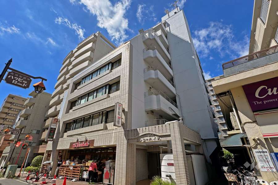 ニッコーハイツ川崎の外観（北東側から）