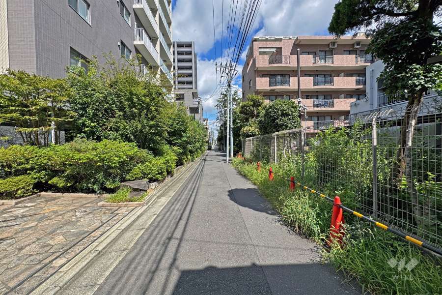 敷地の西側前面道路（南側から）