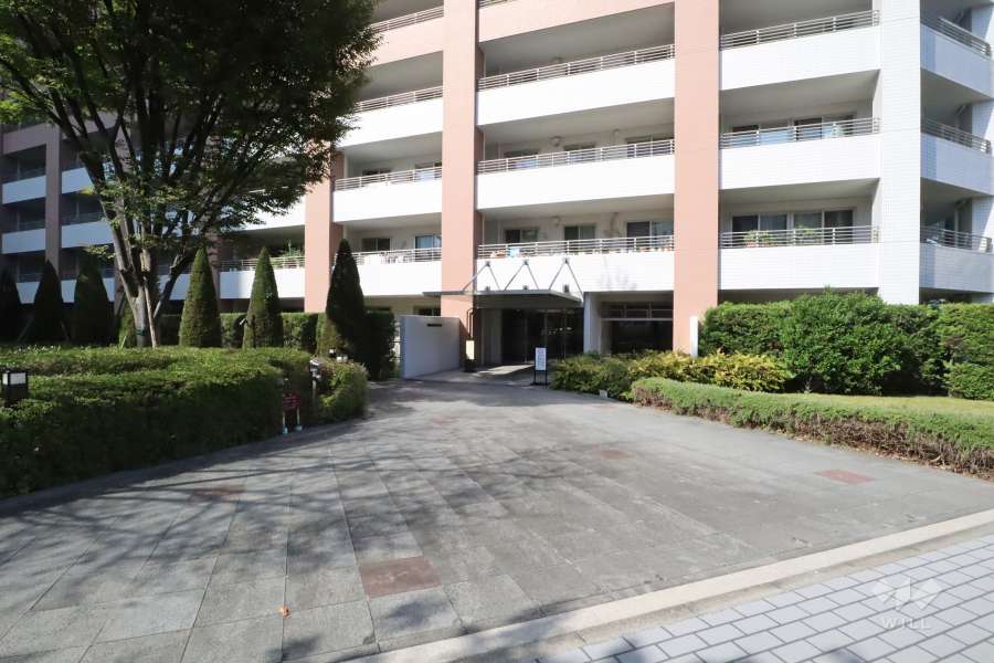 敷地入り口　