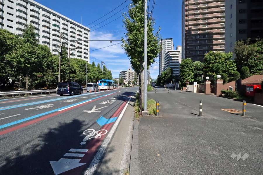 敷地西側の前面道路(南側から)