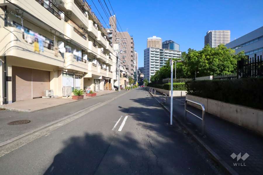 敷地南側の前面道路　