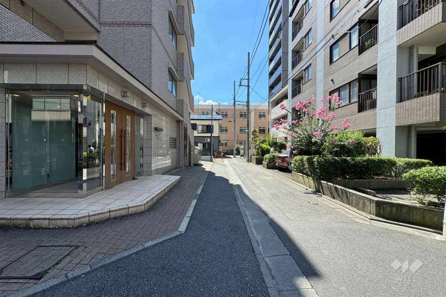 敷地東側の前面道路（北側から）