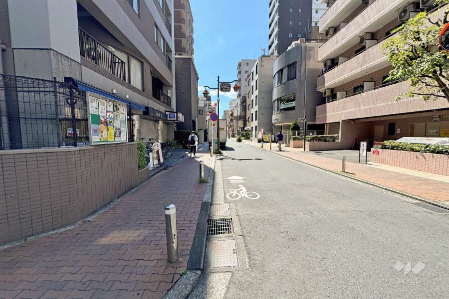 敷地西側の前面道路（北側から）