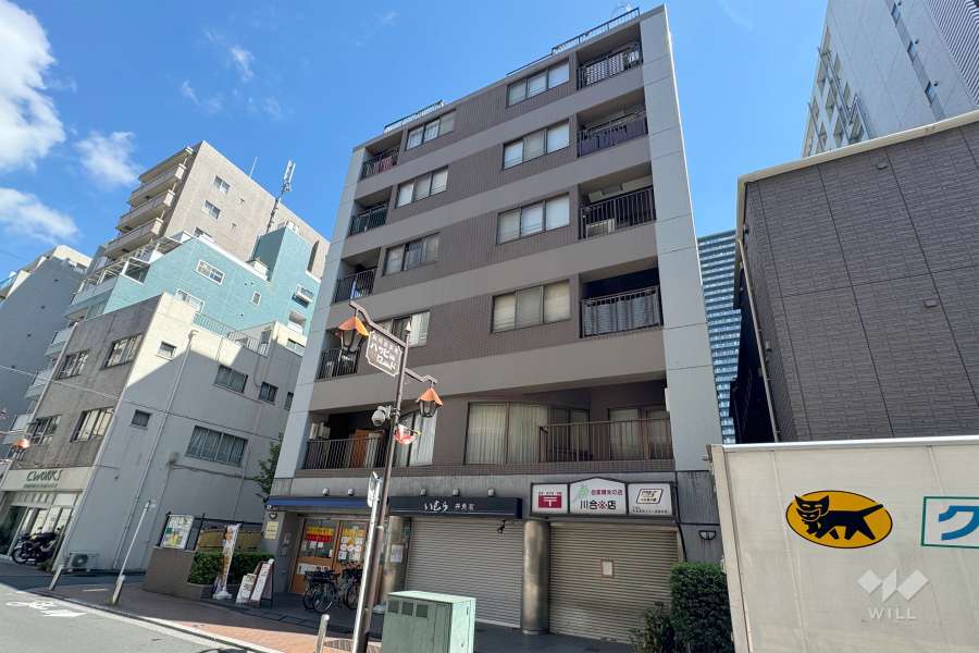コスモ川崎グランデュールの外観（南西側から）