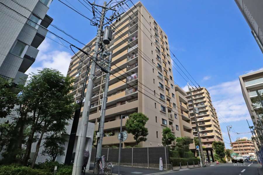 ザ・ユナイテッドシティアルティフガーデンズ川崎の外観（南東側から）