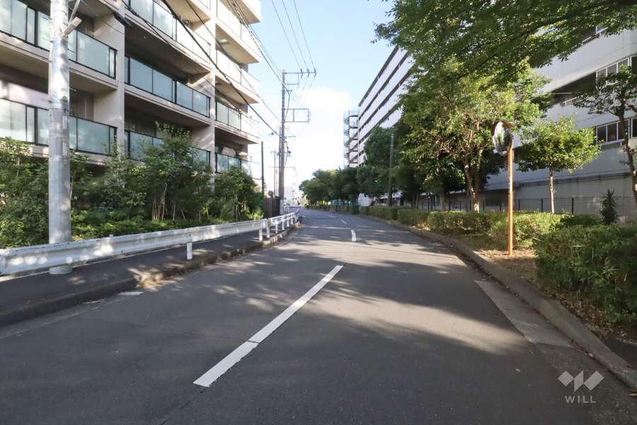 敷地北東側の前面道路　