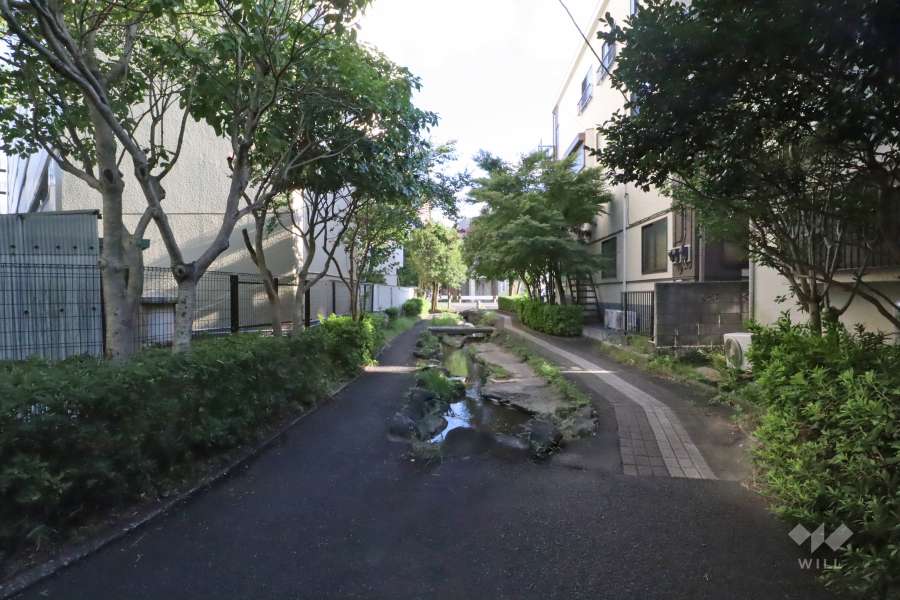 敷地南西側の前面道路　