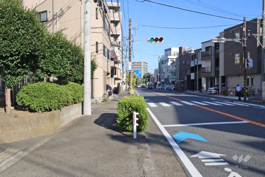 敷地南側の前面道路（西側から）