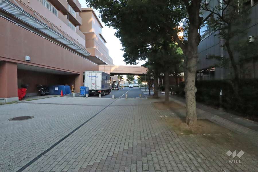 敷地北側の前面道路