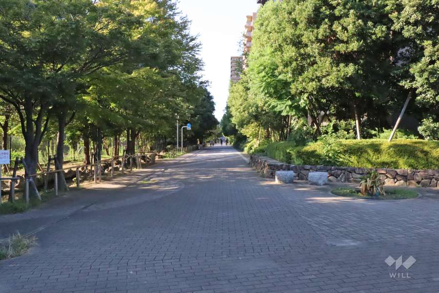 敷地西側の前面道路