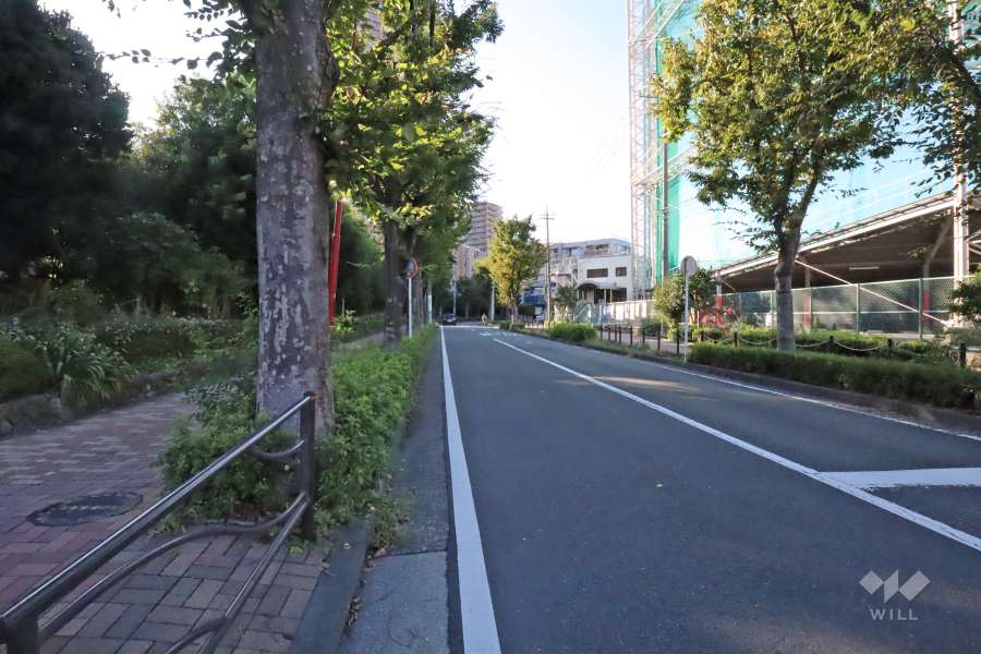 敷地東側の前面道路