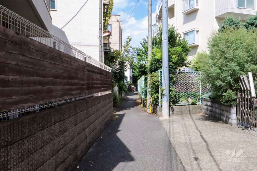 敷地西側の前面道路（南側から）