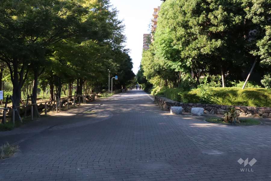 敷地西側の前面道路(南側から)