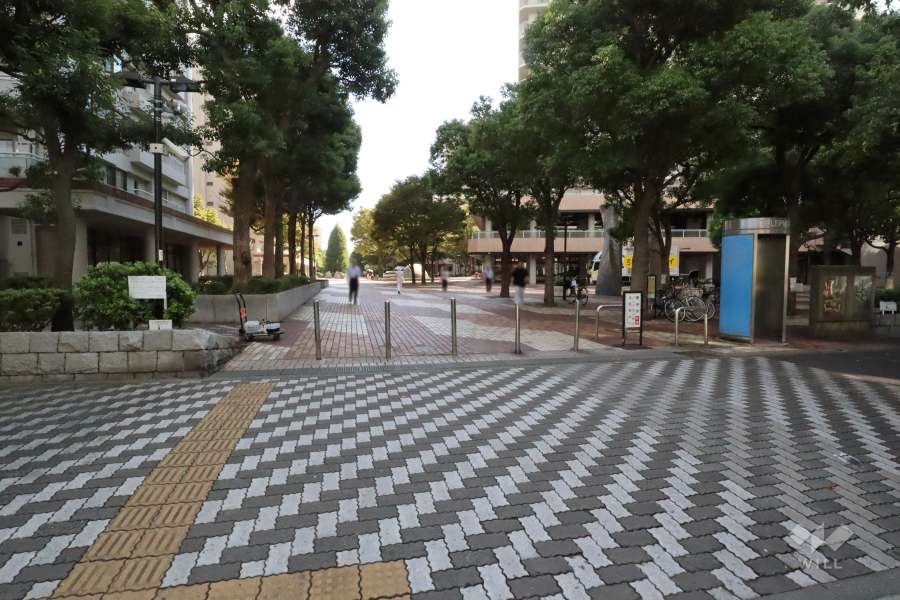 敷地の入り口