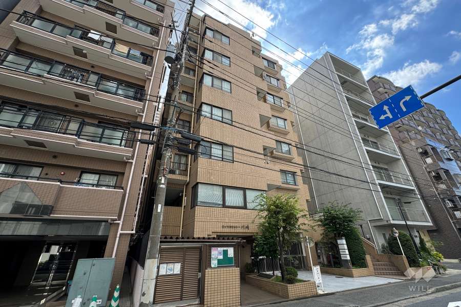 ロイヤルシャトー川崎の外観（北西側から）