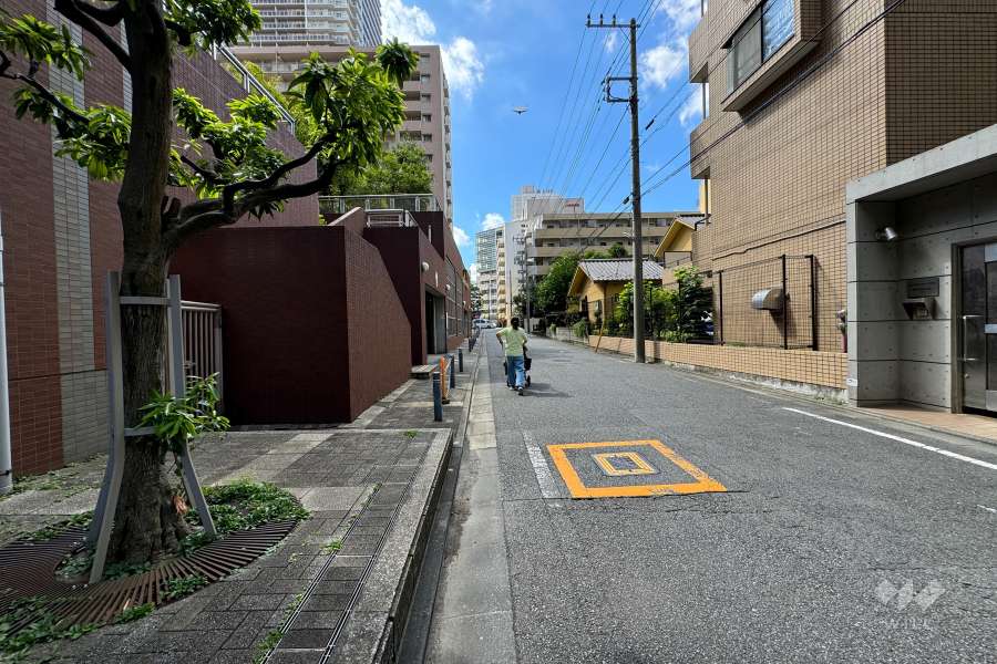 敷地の東側前面道路（南側から）