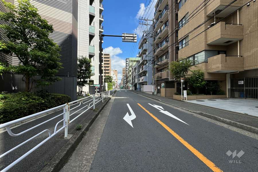 敷地の西側前面道路（南側から）