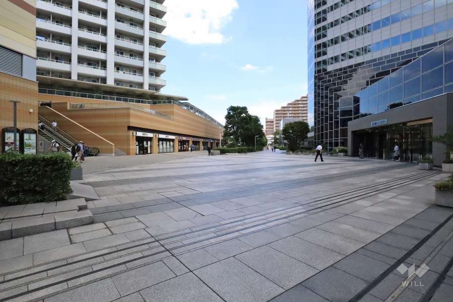 敷地南側の前面道路　