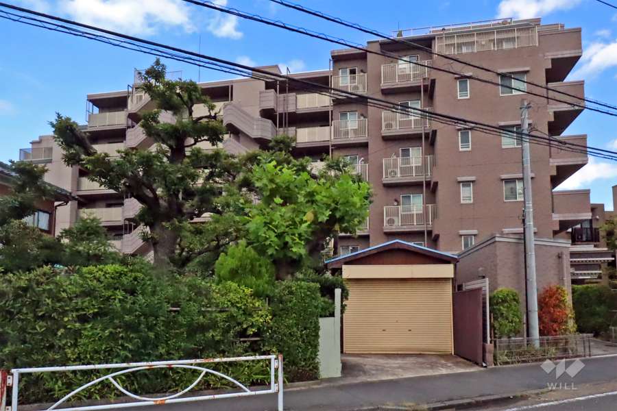 ナイスエスアリーナ新川崎の外観（北西側から）