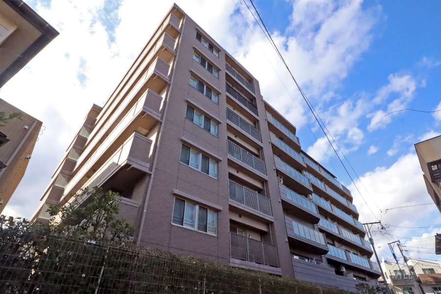 ナイスエスアリーナ新川崎の外観（南東側から）
