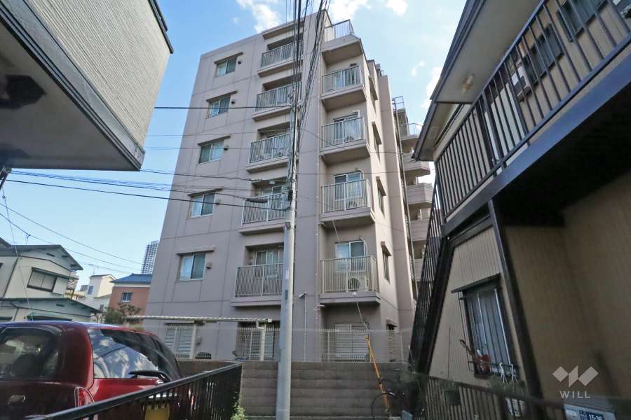 ナイスエスアリーナ新川崎の外観（北側から）