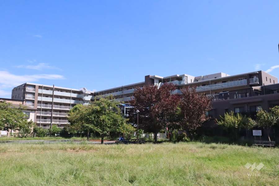 ザ・パークハウス新川崎の外観(北西側から)