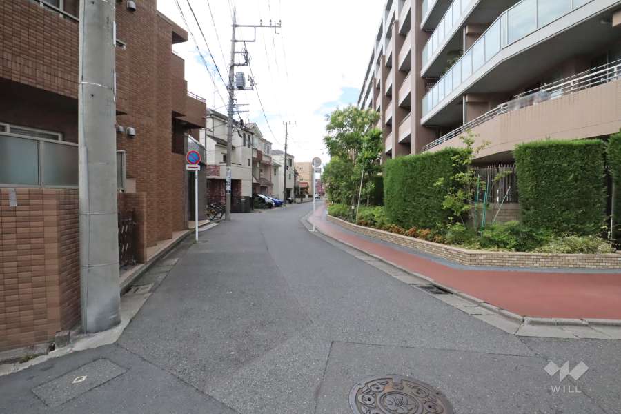 敷地南側の前面道路(東側から)