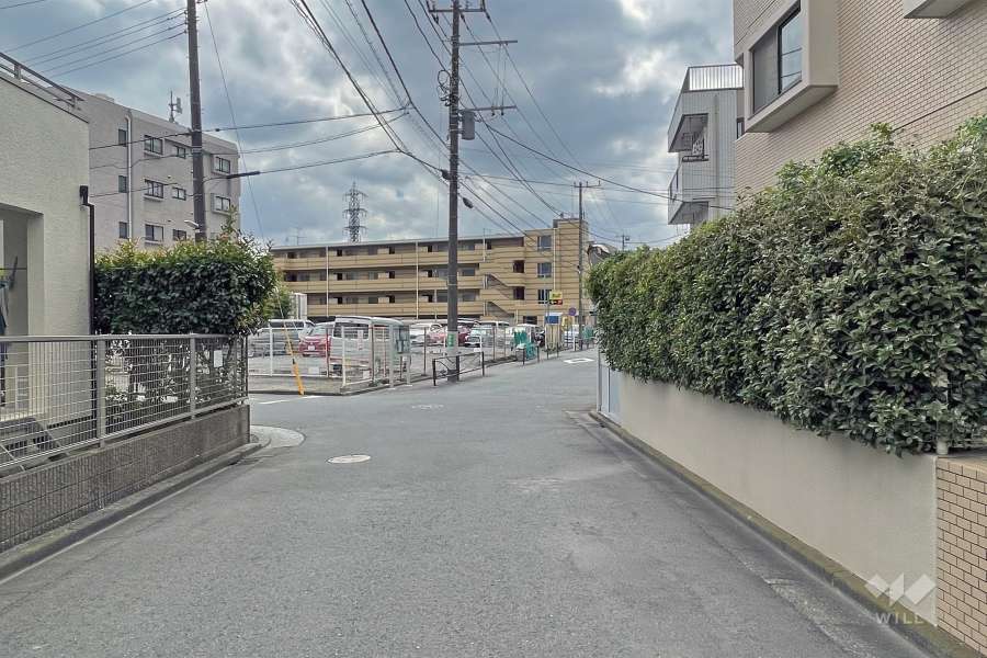 敷地の東側前面道路（北側から）