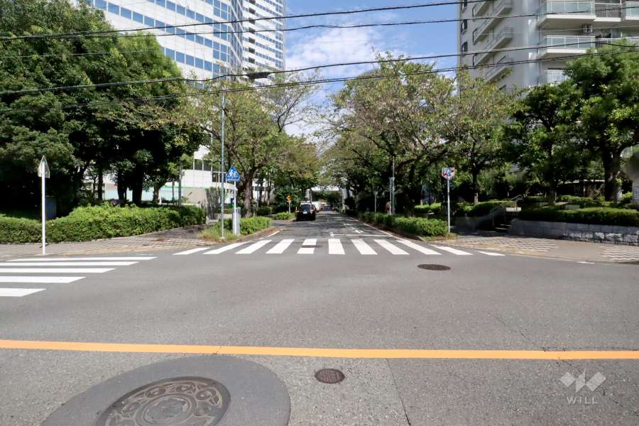 敷地北側の前面道路