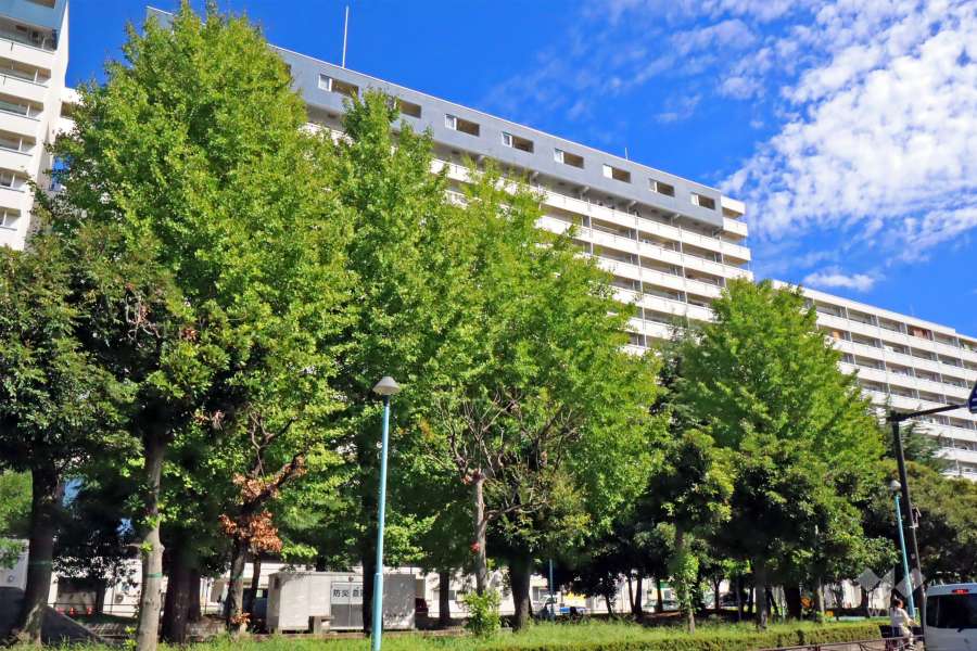 河原町団地14号棟の外観（北西側から）