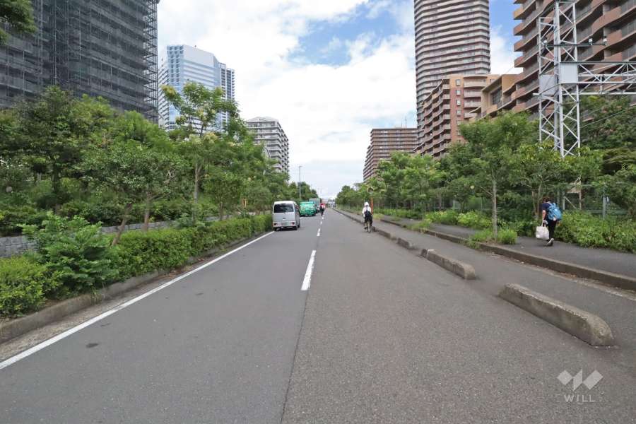 敷地東側の前面道路（北側から）