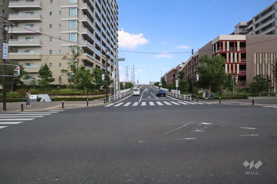 敷地南側の前面道路(西側から)