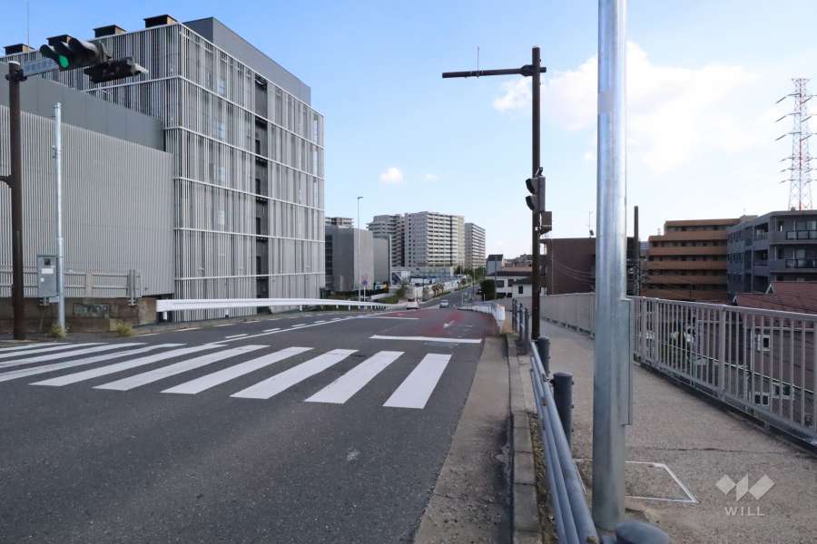 敷地西側の前面道路(北側から)
