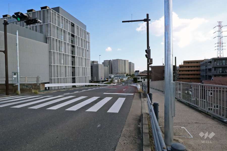 敷地西側の前面道路（北側から）