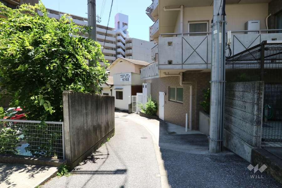 敷地北側の前面道路