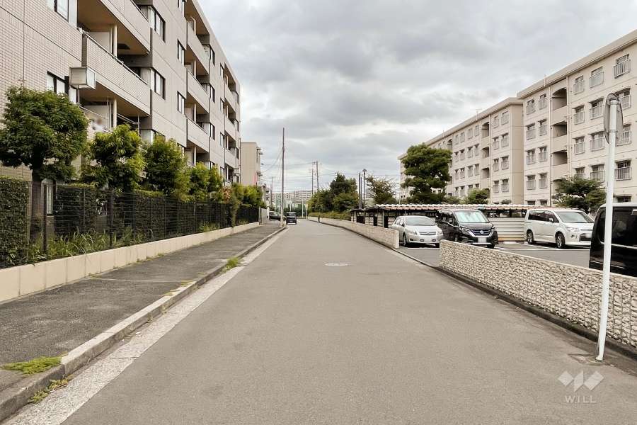 敷地南側の前面道路