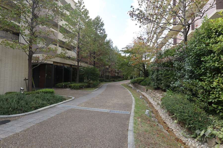 J棟南側の通路（西側から）
