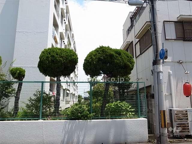 敷地南側の建物とはやや間隔があります。