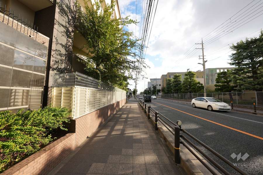 敷地西側の前面道路（北側から）