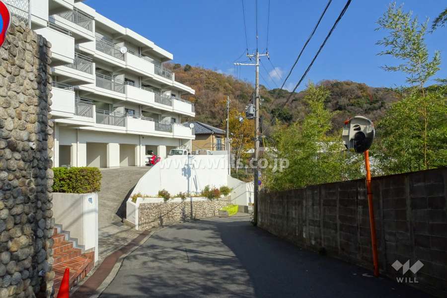 敷地南側の前面道路（西側から）