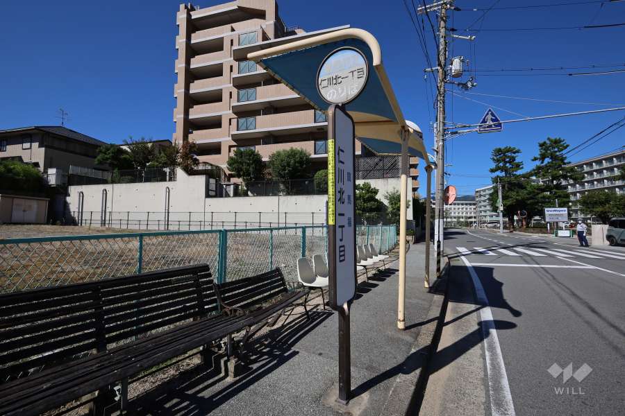 敷地北東側の前面道路。二車線のバス通りです。　